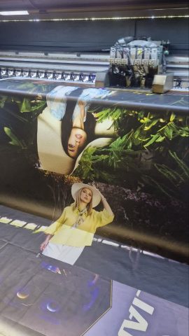 photo26346038065